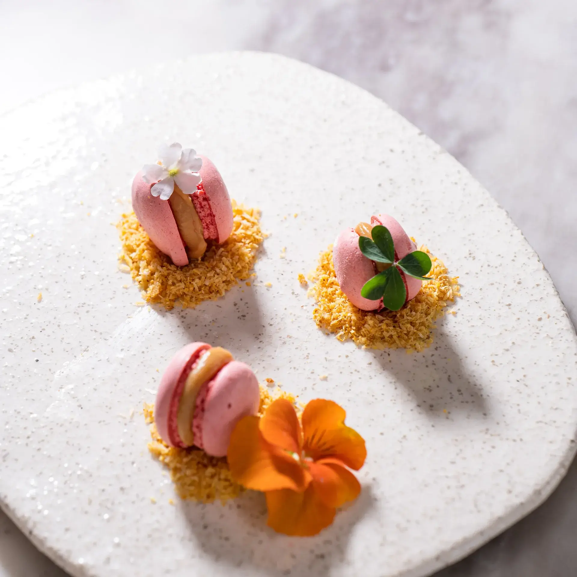 CC 57 - Food photography by Sebastian Nico