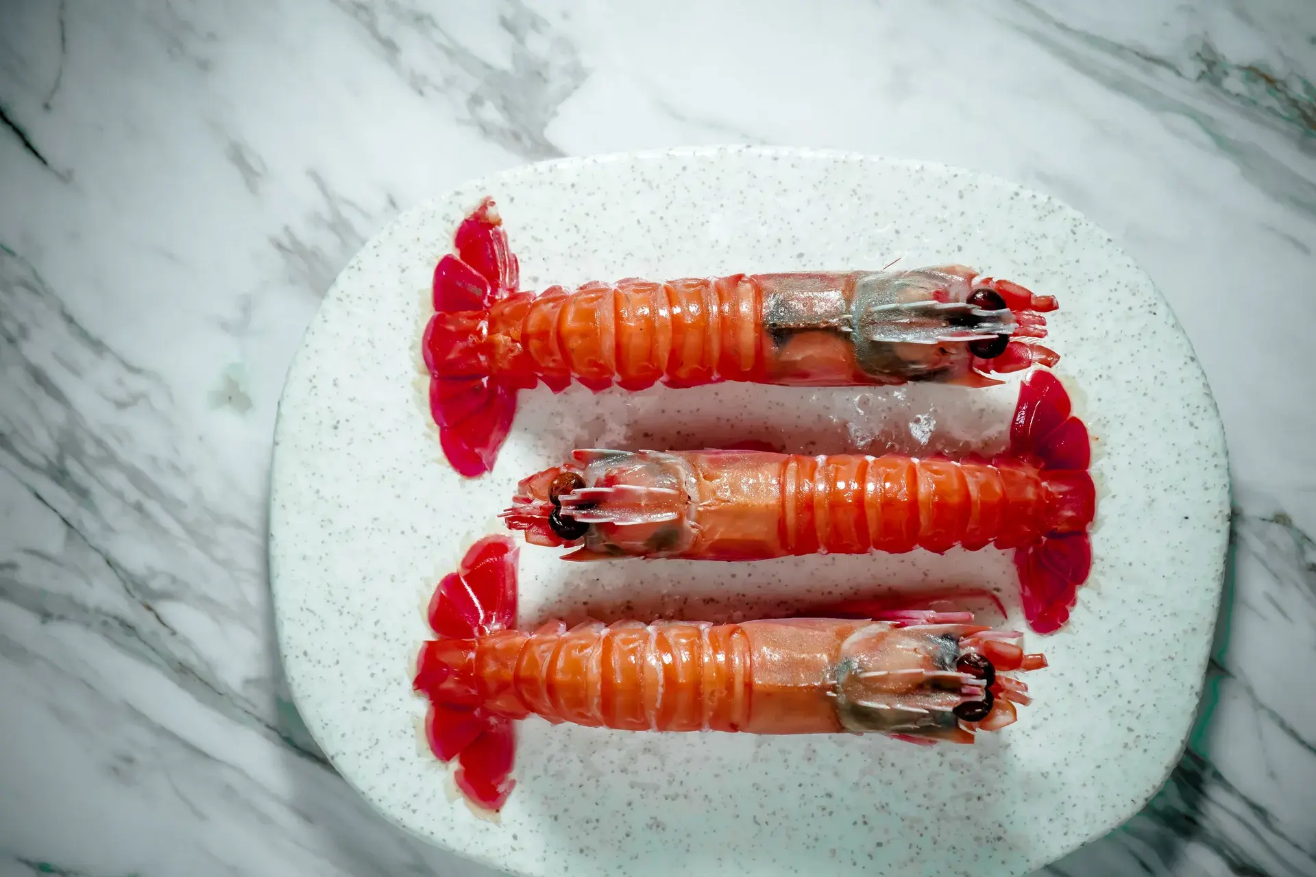 Chefs Circ 50 - Food photography by Sebastian Nico