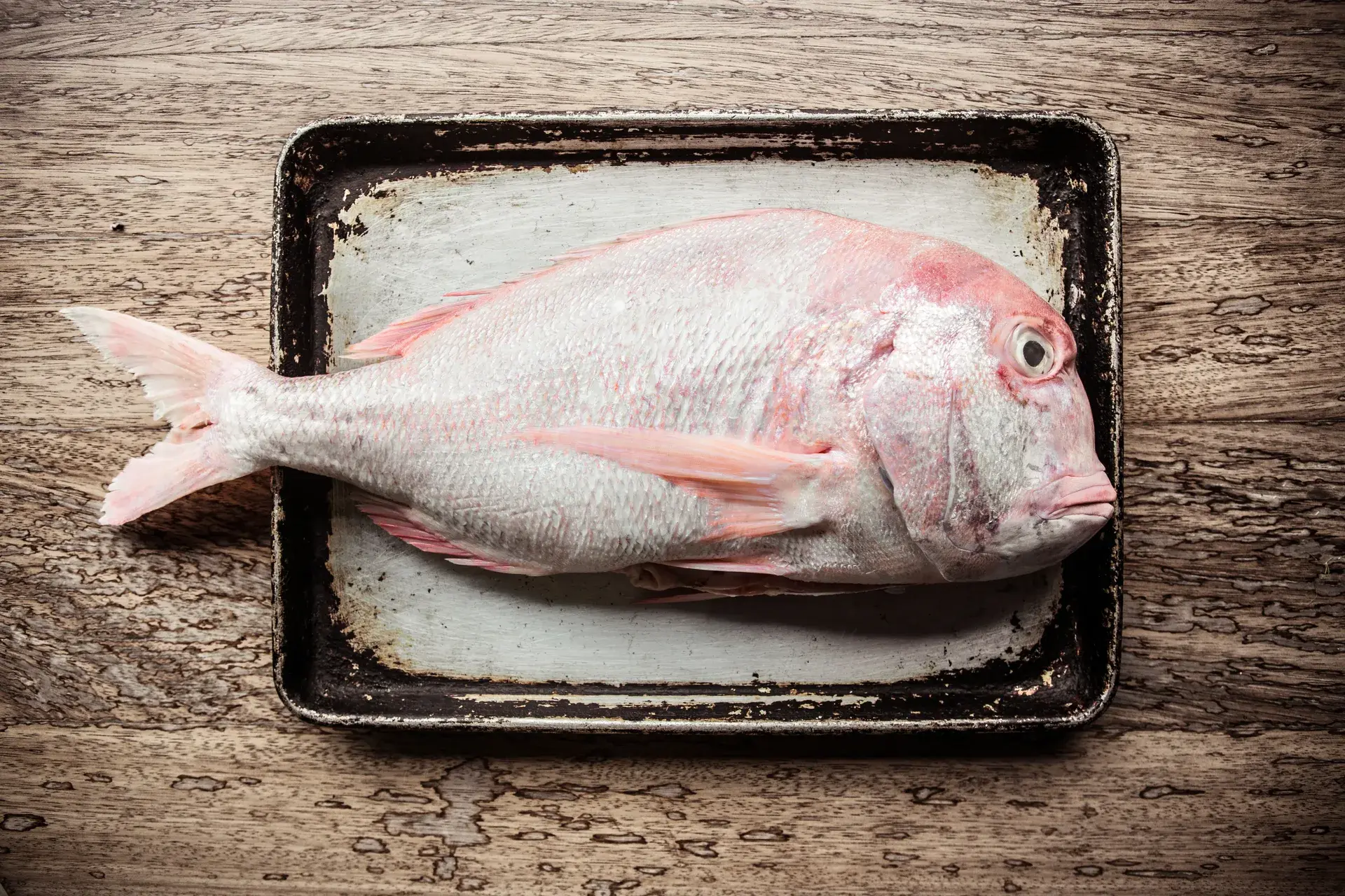 Raw whole red snapper fish on a weathered roasting tray over rustic wood